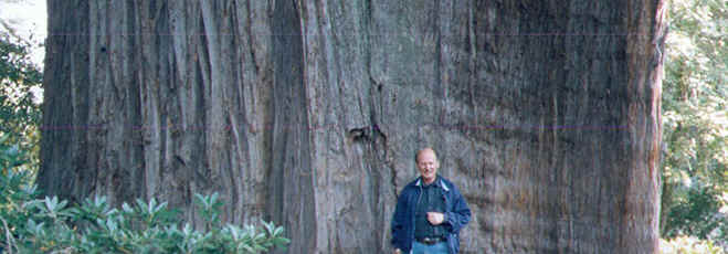 wpe8.jpg (22986 bytes)